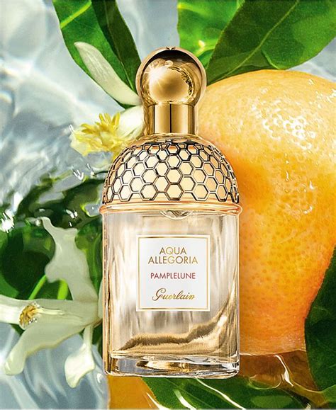 guerlain aqua allegoria grapefruit